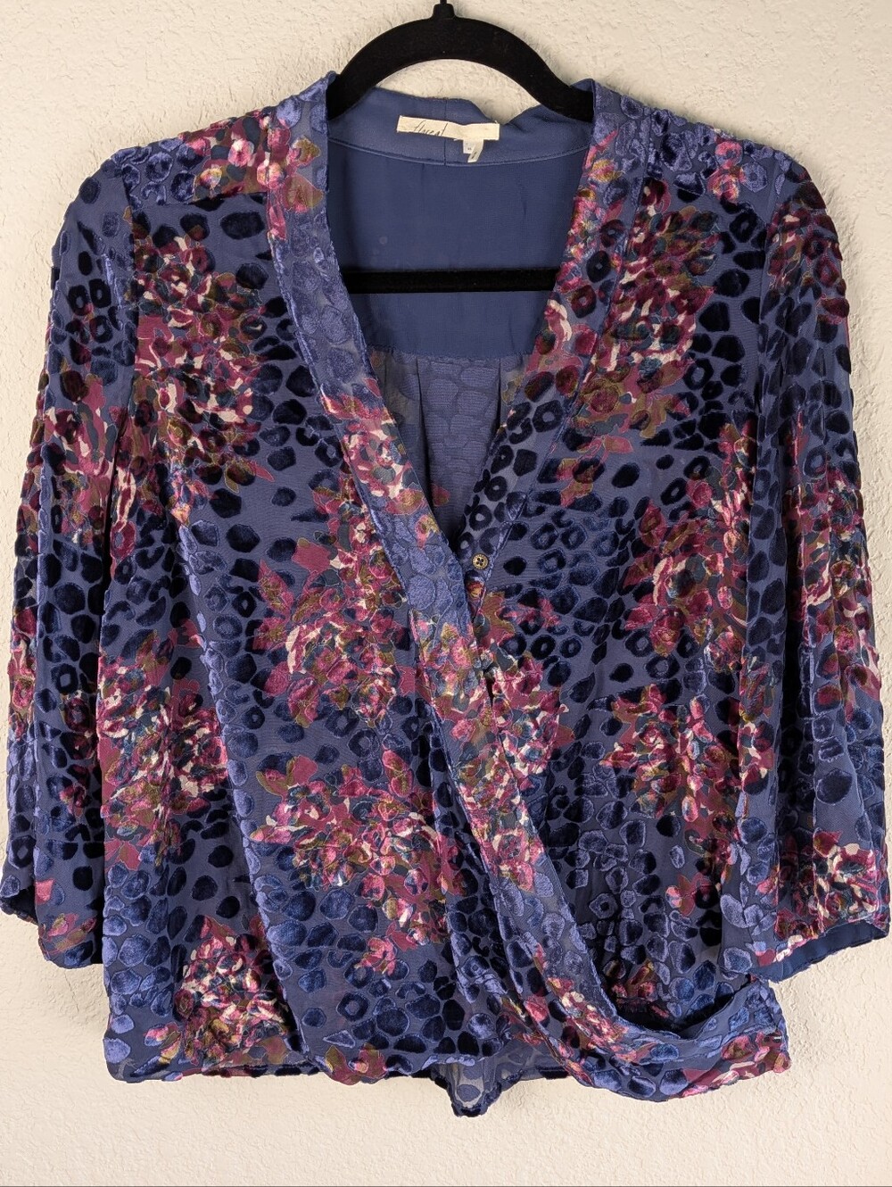 Anthropologie Floreat Burnout Velvet Blouse XS Viscose Silk Sheer Whimsigoth